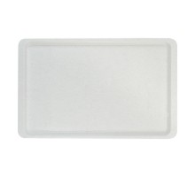 Serving tray gn1/1