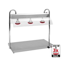 Food warmer with gantry