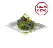 Plate 27x27cm