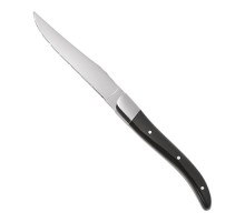 Steak knife