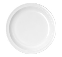 Plate ø23,5cm