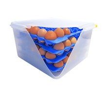 Egg container