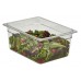 Camwear GN 1/2 konteiners no polikarbonÄta, Cambro, GN 1/2, 3,9L, CaurspÄŦdÄŦgs, 325x260x(H)65mm