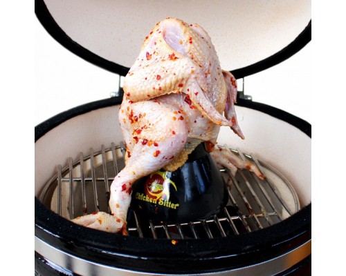 BBQ Chicken Roaster