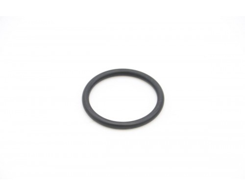 VN500/2000 - O-Ring For Heating Element Boiler