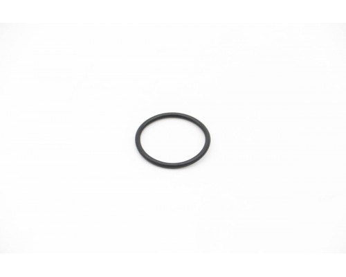 ID2000 - O-Ring (50825)