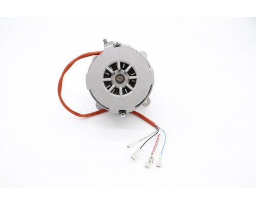 Motor With Reverse 1 Ph 230V 50/60Hz