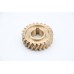 MPM20/30 - Worm Gear