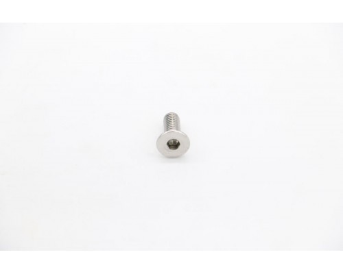 MS220/250/300 - Screw For Blade #3