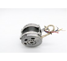 Ms220 Motor