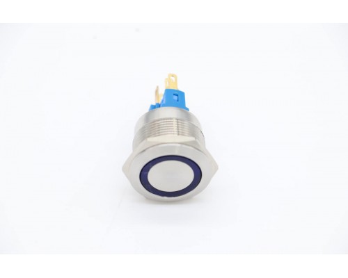 DRY ICE - Indicator Light (Blue)