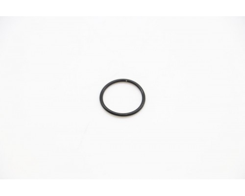 DRY ICE - Gasket - Nitrile ( -40 °C-120)