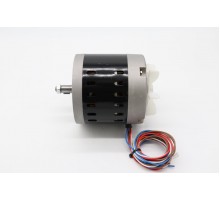 MSM5 - Motor #29