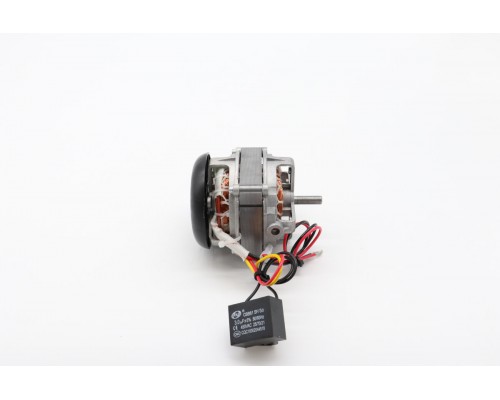 Motor 80W/2800Rpm