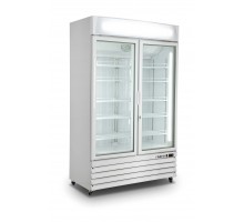 SARO Ventilated Freezer 2 glass doors model D 800