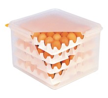 egg box with 8 eggs trays