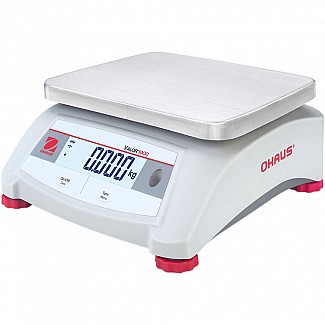 auxiliary scale, verified, range 6 kg, accuracy 2 g