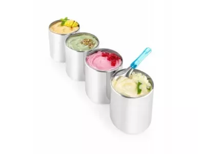 Домашние и профессиональные мороженицы – ключевые различия