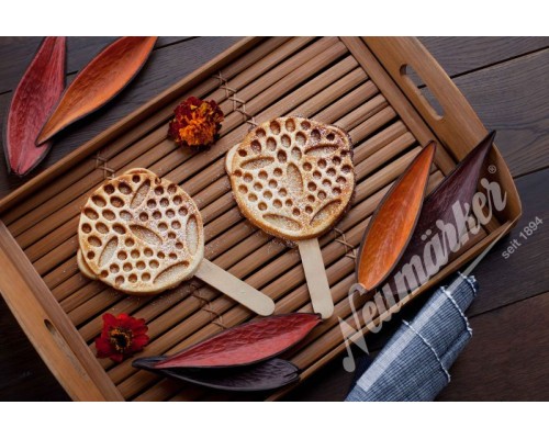 Neumärker Waffle Bears on a Stick Interchangeable Plates for Thermocook®