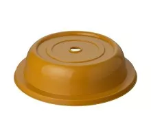 Plāksnes vāks ø24,3cm