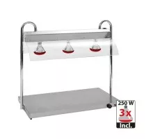 Food warmer with gantry