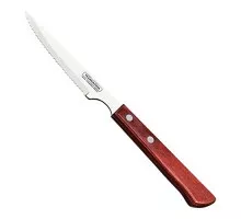 Steak knife