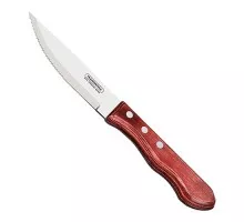 Steak knife