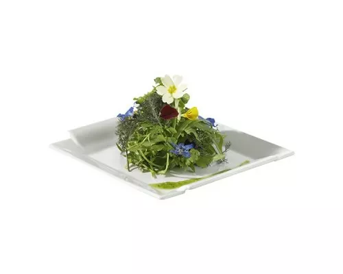 Dinnerware Revol 735495, Buy Picture Plate 31x31cm, Revol, 735495
