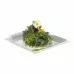Picture Plate 31x31cm, Revol, 735495