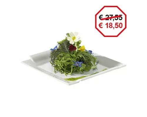 Dinnerware Revol 735495, Buy Picture Plate 31x31cm, Revol, 735495