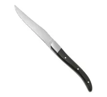 Steak knife