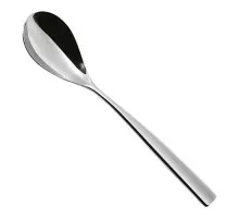 Dessert spoon