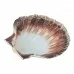 Фото Coquille shell ø12,0cm, EMGA, 814001