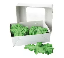 Decoration green
