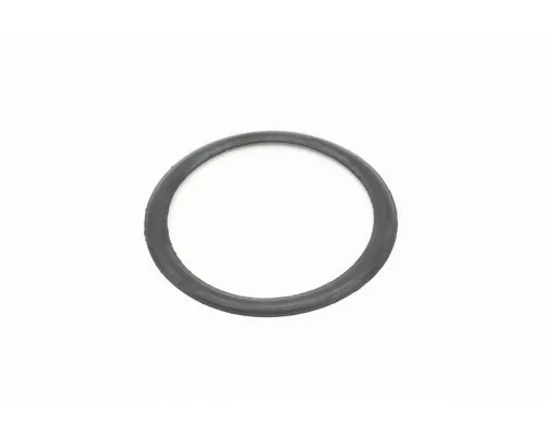 VN500/2000 - O-Ring For Filter Base (Flat)