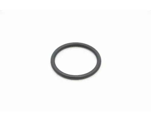 VN500/2000 - O-Ring For Heating Element Boiler VN500/2000 - O-Ring For Heating Element Boiler