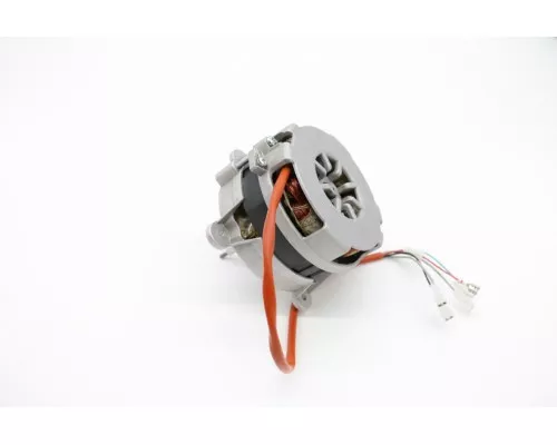 Motor With Reverse 1 Ph 230V 50/60Hz Motor With Reverse 1 Ph 230V 50/60Hz