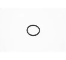 DW - O-Ring 4131