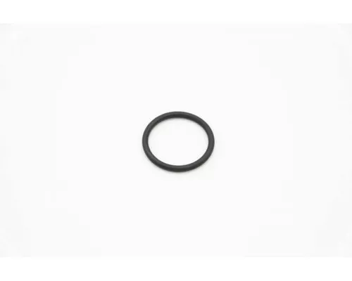 DW - O-Ring 4131 DW - O-Ring 4131