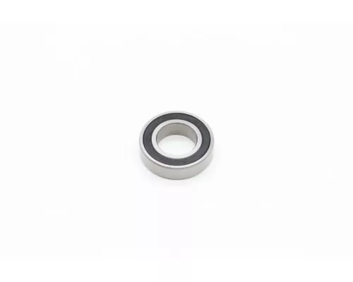DPM20/30 - Bearing 6005 (<2020) DPM20/30 - Bearing 6005 (<2020)