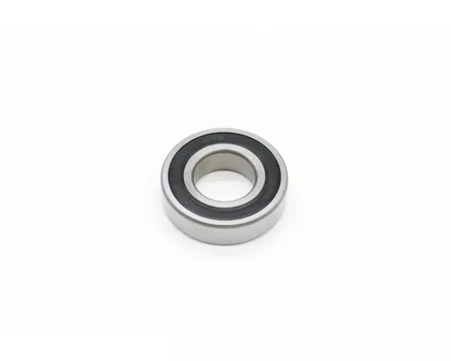 DPM20/30 - Bearing 6206 (<2020) DPM20/30 - Bearing 6206 (<2020)