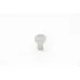 MSF/MASF - Exhaust Pin #24/23
