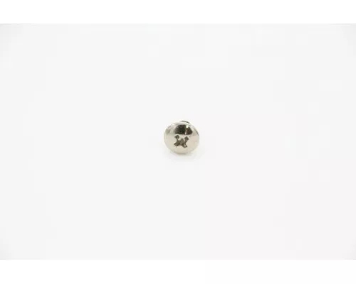 Screw 4X6