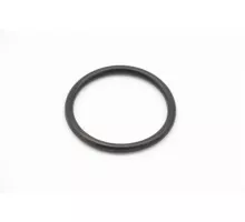 DPP15/20 - Sealing Ring #31