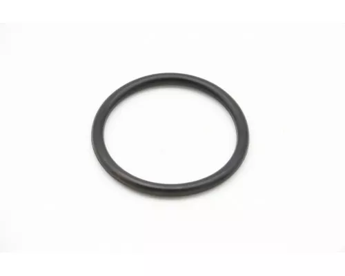 DPP15/20 - Sealing Ring #31