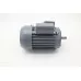 DPP15 - Motor #15