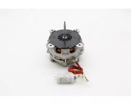 STEAM - Motor STEAM - Motor