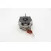 STEAM - Motor