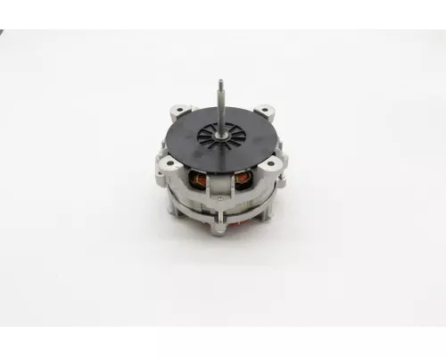 STEAM - Motor STEAM - Motor