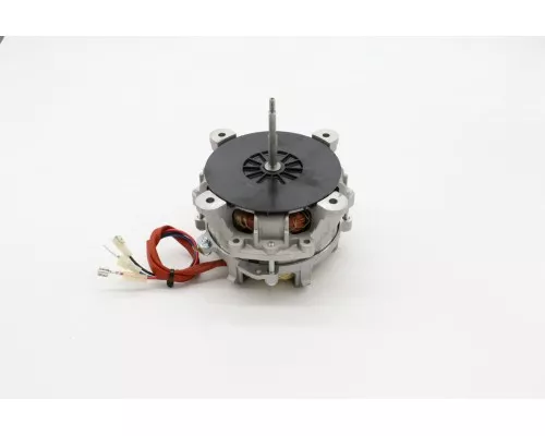 STEAM - Motor STEAM - Motor